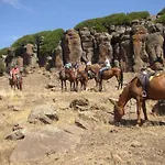 Gli Asfodeli Tresnuraghes