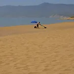 Gli Asfodeli