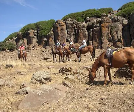 Gli Asfodeli Tresnuraghes