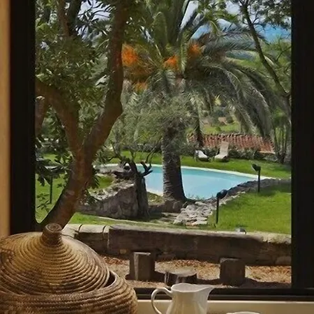 Gli Asfodeli Tresnuraghes