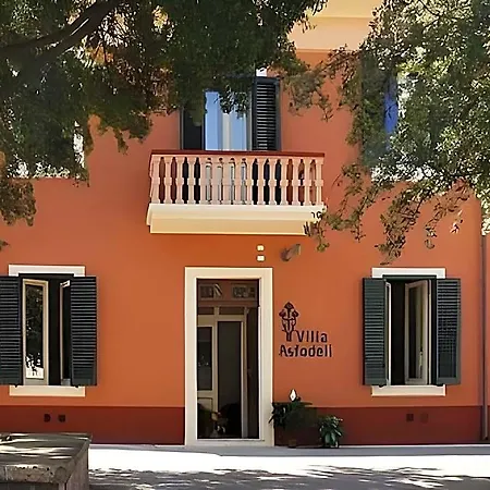 Gli Asfodeli