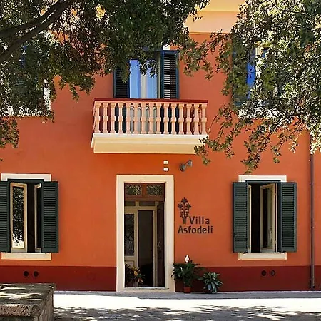Gli Asfodeli 3*