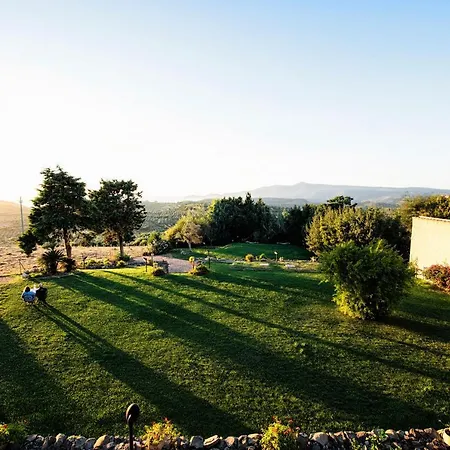 Gli Asfodeli Tresnuraghes